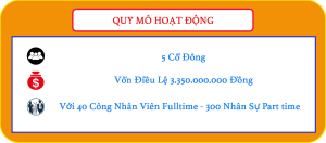 Quy mô công ty